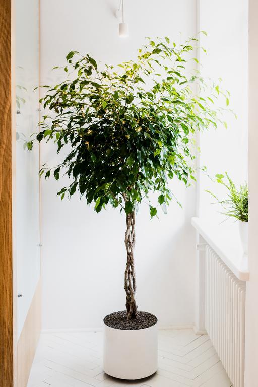 Apartamenty Browar Perla - Free Parking ルブリン エクステリア 写真